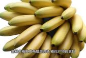 大香蕉国产在线观看,揭秘热门影视资源背后的故事